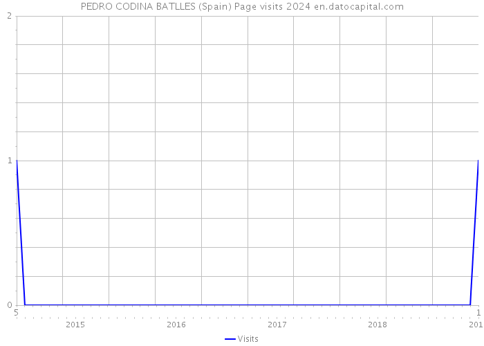 PEDRO CODINA BATLLES (Spain) Page visits 2024 