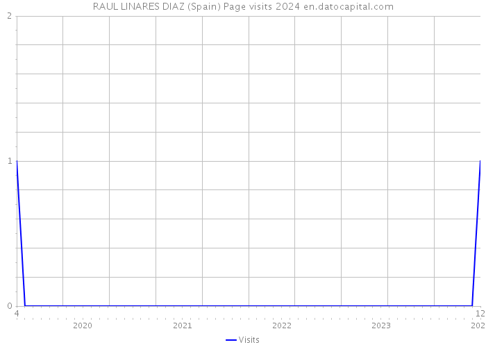 RAUL LINARES DIAZ (Spain) Page visits 2024 