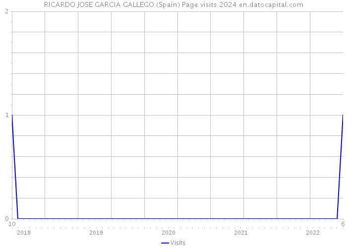 RICARDO JOSE GARCIA GALLEGO (Spain) Page visits 2024 