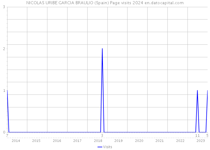 NICOLAS URIBE GARCIA BRAULIO (Spain) Page visits 2024 
