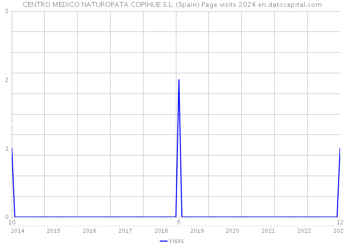 CENTRO MEDICO NATUROPATA COPIHUE S.L. (Spain) Page visits 2024 