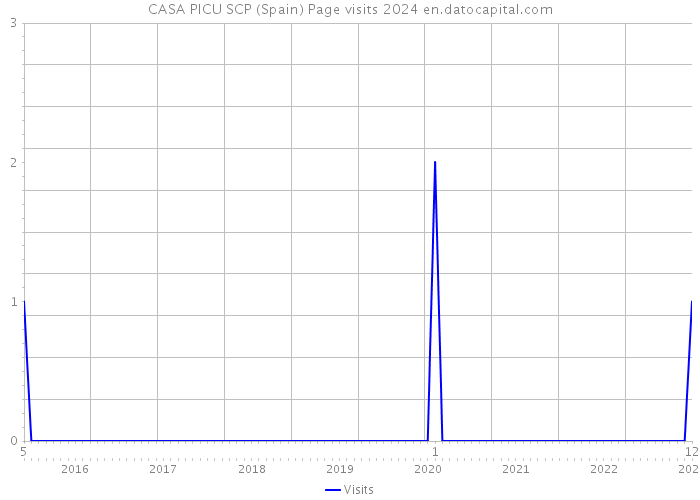 CASA PICU SCP (Spain) Page visits 2024 