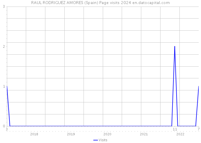 RAUL RODRIGUEZ AMORES (Spain) Page visits 2024 