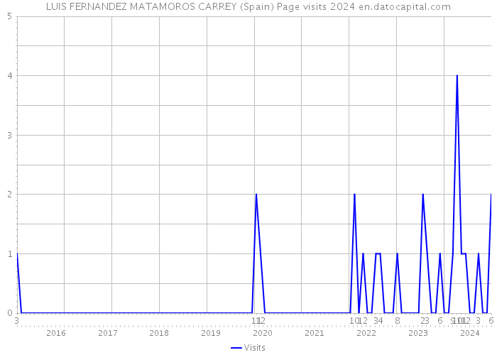 LUIS FERNANDEZ MATAMOROS CARREY (Spain) Page visits 2024 