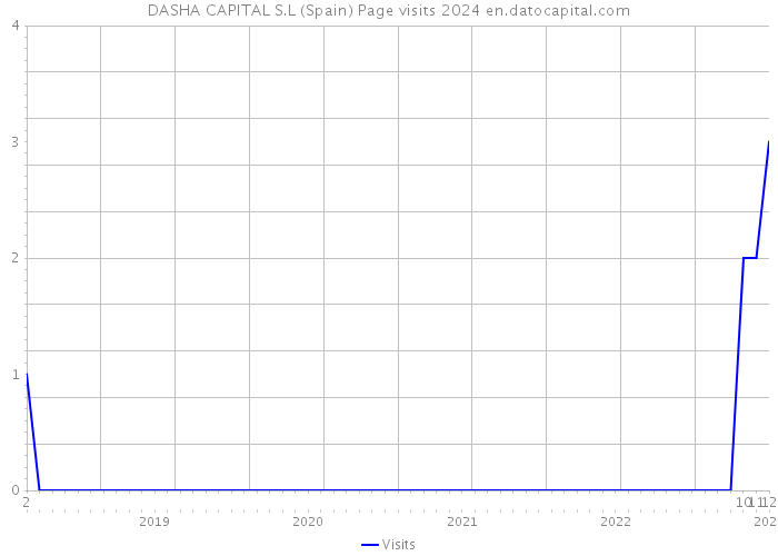 DASHA CAPITAL S.L (Spain) Page visits 2024 