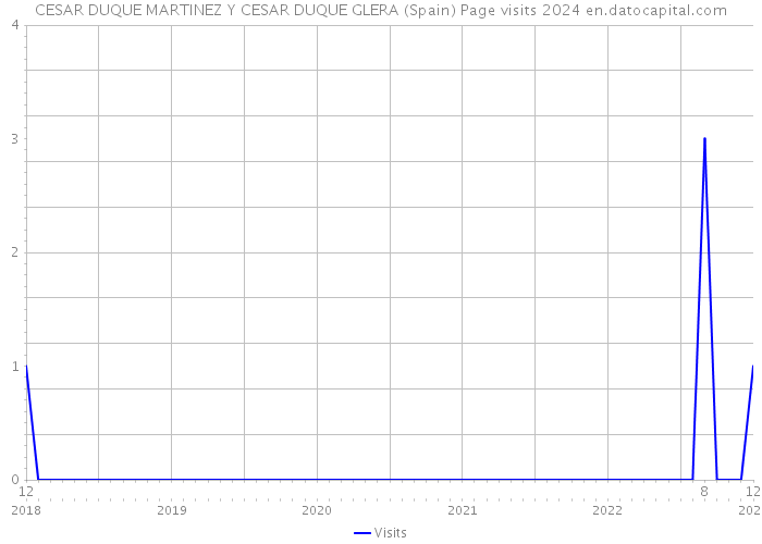 CESAR DUQUE MARTINEZ Y CESAR DUQUE GLERA (Spain) Page visits 2024 