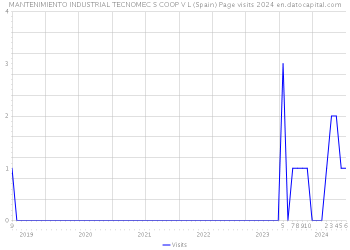 MANTENIMIENTO INDUSTRIAL TECNOMEC S COOP V L (Spain) Page visits 2024 