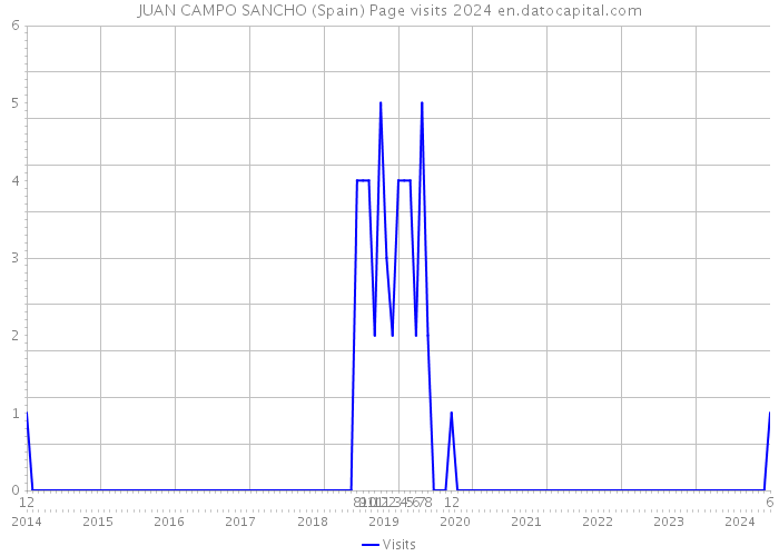 JUAN CAMPO SANCHO (Spain) Page visits 2024 