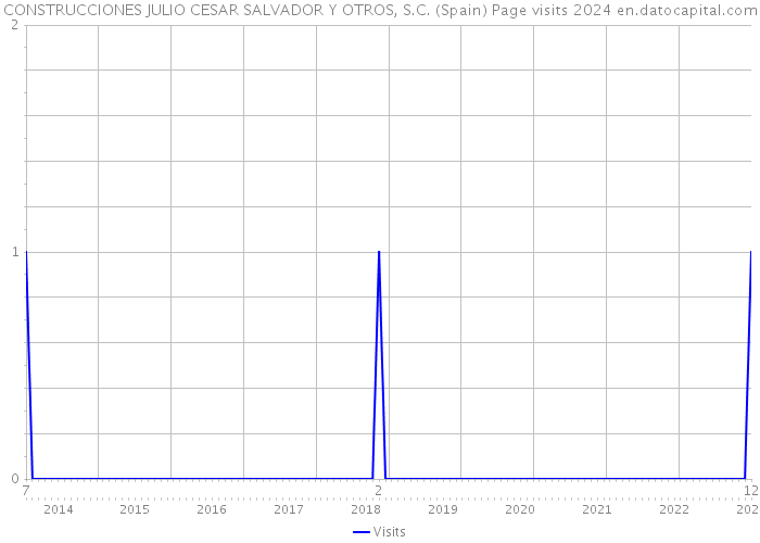 CONSTRUCCIONES JULIO CESAR SALVADOR Y OTROS, S.C. (Spain) Page visits 2024 