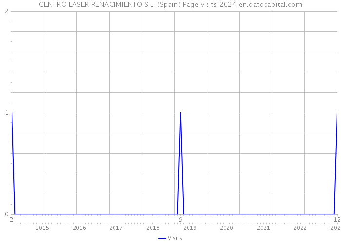 CENTRO LASER RENACIMIENTO S.L. (Spain) Page visits 2024 