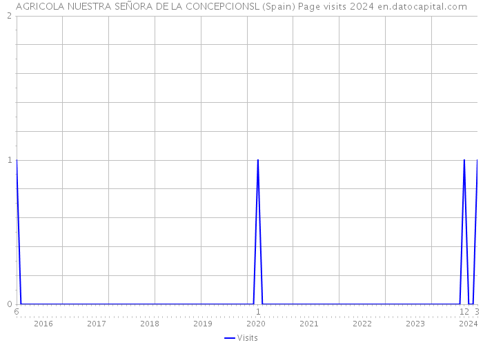 AGRICOLA NUESTRA SEÑORA DE LA CONCEPCIONSL (Spain) Page visits 2024 