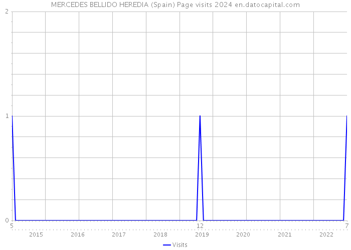 MERCEDES BELLIDO HEREDIA (Spain) Page visits 2024 