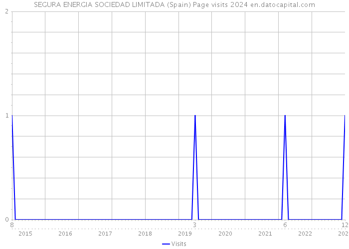 SEGURA ENERGIA SOCIEDAD LIMITADA (Spain) Page visits 2024 