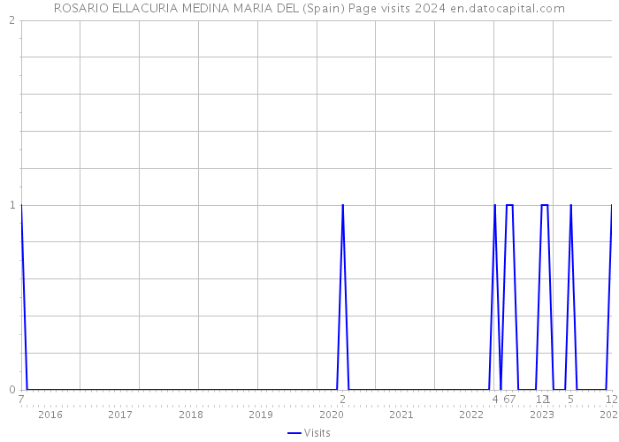 ROSARIO ELLACURIA MEDINA MARIA DEL (Spain) Page visits 2024 
