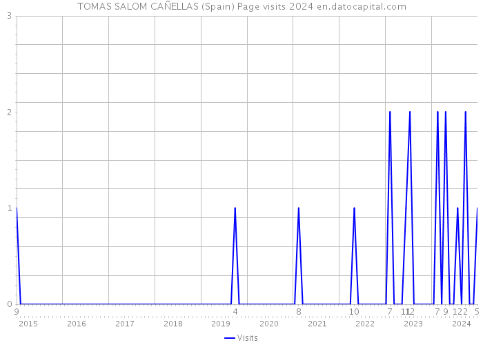 TOMAS SALOM CAÑELLAS (Spain) Page visits 2024 