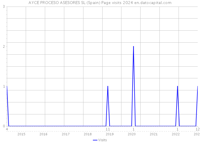 AYCE PROCESO ASESORES SL (Spain) Page visits 2024 