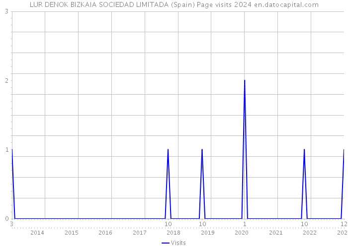 LUR DENOK BIZKAIA SOCIEDAD LIMITADA (Spain) Page visits 2024 
