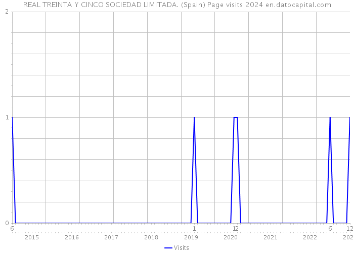 REAL TREINTA Y CINCO SOCIEDAD LIMITADA. (Spain) Page visits 2024 