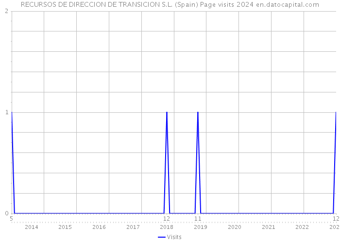 RECURSOS DE DIRECCION DE TRANSICION S.L. (Spain) Page visits 2024 