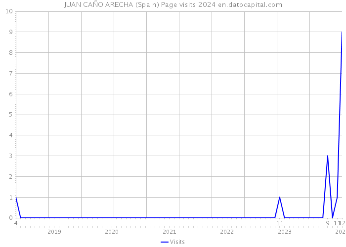 JUAN CAÑO ARECHA (Spain) Page visits 2024 