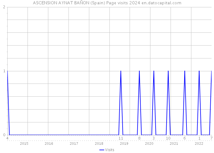 ASCENSION AYNAT BAÑON (Spain) Page visits 2024 