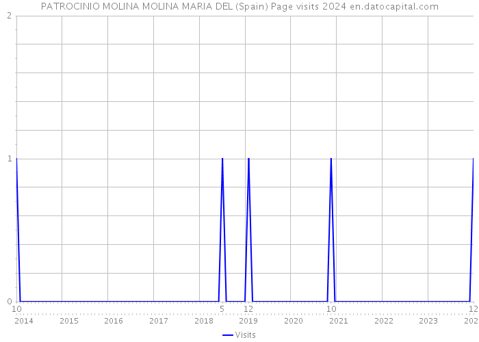 PATROCINIO MOLINA MOLINA MARIA DEL (Spain) Page visits 2024 