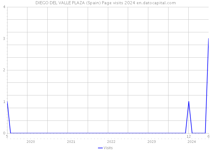 DIEGO DEL VALLE PLAZA (Spain) Page visits 2024 