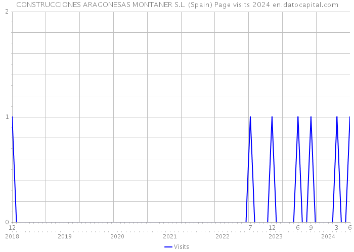 CONSTRUCCIONES ARAGONESAS MONTANER S.L. (Spain) Page visits 2024 