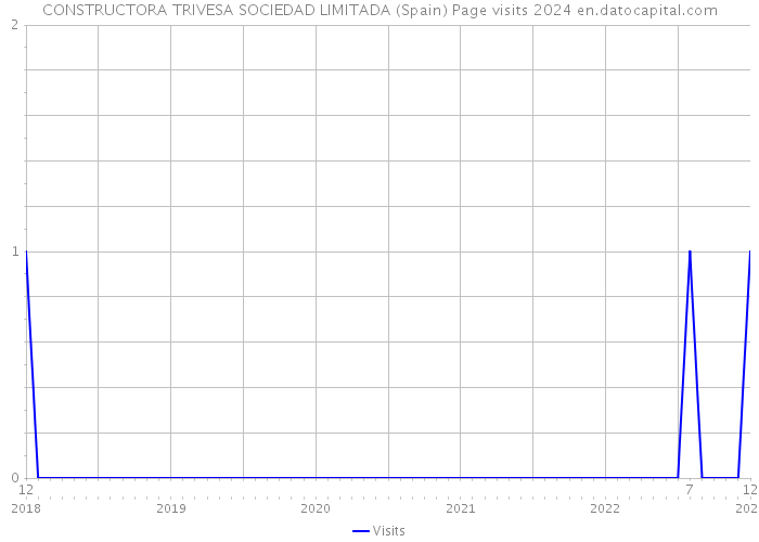 CONSTRUCTORA TRIVESA SOCIEDAD LIMITADA (Spain) Page visits 2024 