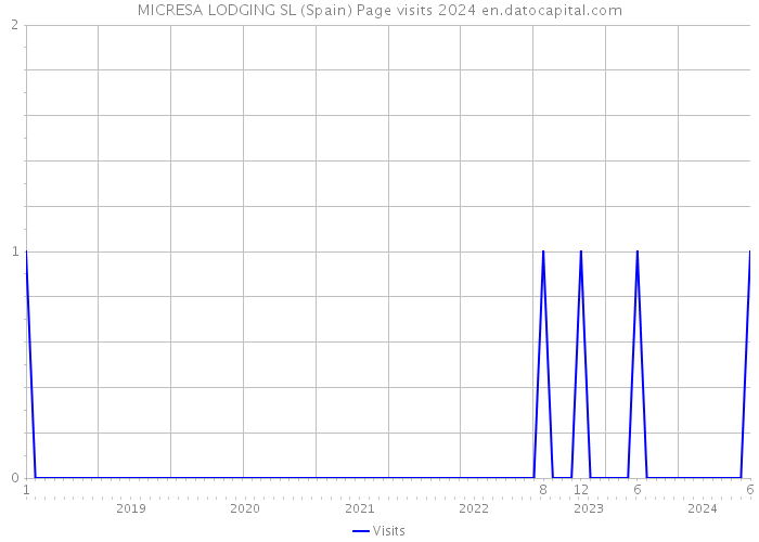 MICRESA LODGING SL (Spain) Page visits 2024 