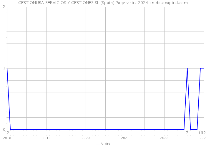 GESTIONUBA SERVICIOS Y GESTIONES SL (Spain) Page visits 2024 