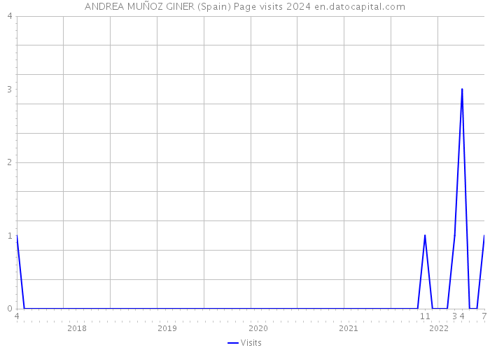 ANDREA MUÑOZ GINER (Spain) Page visits 2024 