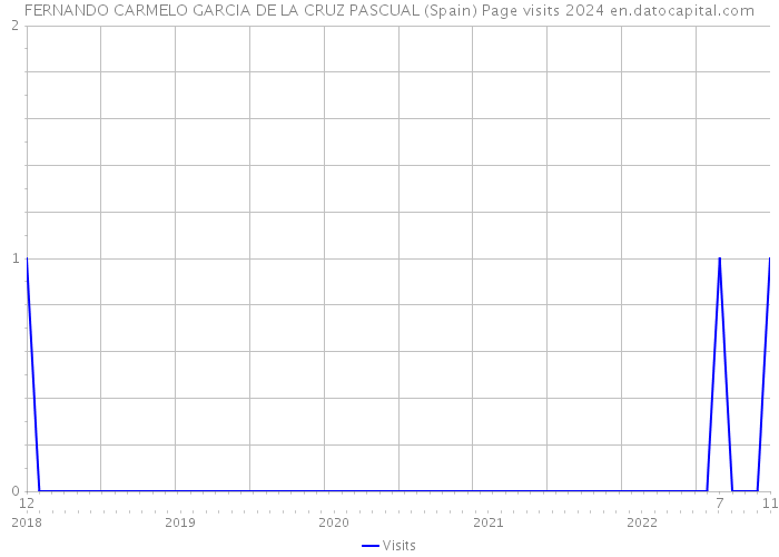 FERNANDO CARMELO GARCIA DE LA CRUZ PASCUAL (Spain) Page visits 2024 