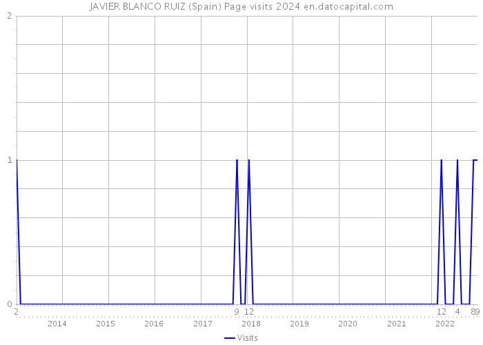 JAVIER BLANCO RUIZ (Spain) Page visits 2024 