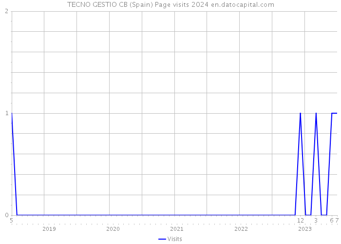 TECNO GESTIO CB (Spain) Page visits 2024 