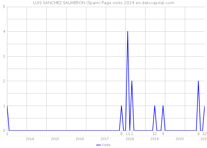 LUIS SANCHEZ SALMERON (Spain) Page visits 2024 