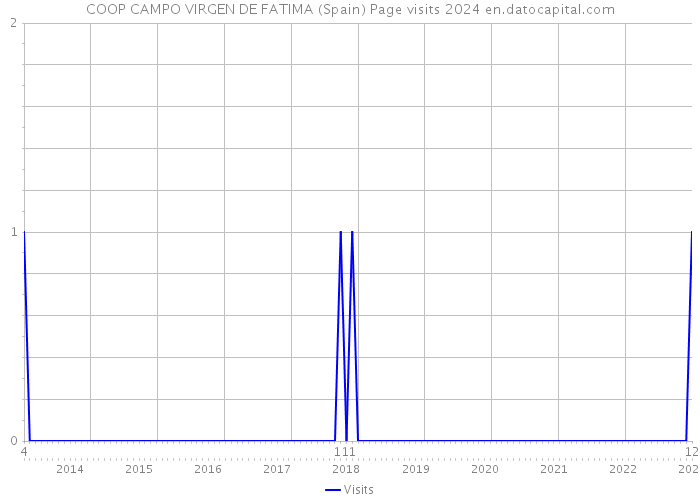 COOP CAMPO VIRGEN DE FATIMA (Spain) Page visits 2024 