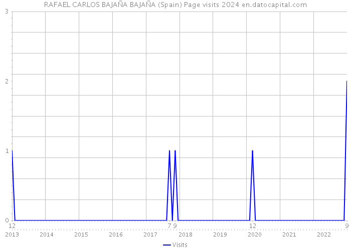 RAFAEL CARLOS BAJAÑA BAJAÑA (Spain) Page visits 2024 