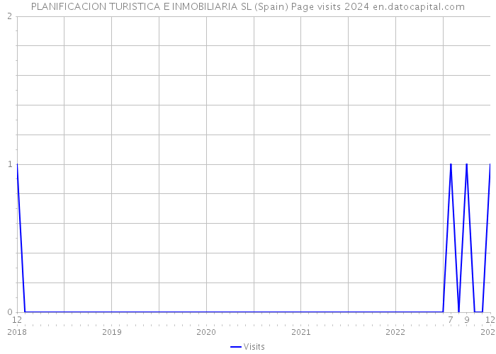 PLANIFICACION TURISTICA E INMOBILIARIA SL (Spain) Page visits 2024 