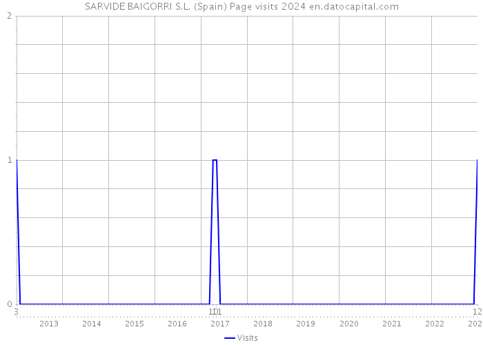 SARVIDE BAIGORRI S.L. (Spain) Page visits 2024 