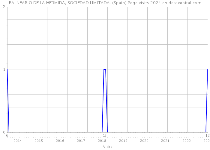 BALNEARIO DE LA HERMIDA, SOCIEDAD LIMITADA. (Spain) Page visits 2024 