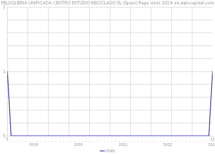 PELUQUERIA UNIFICADA CENTRO ESTUDIO RECICLADO SL (Spain) Page visits 2024 