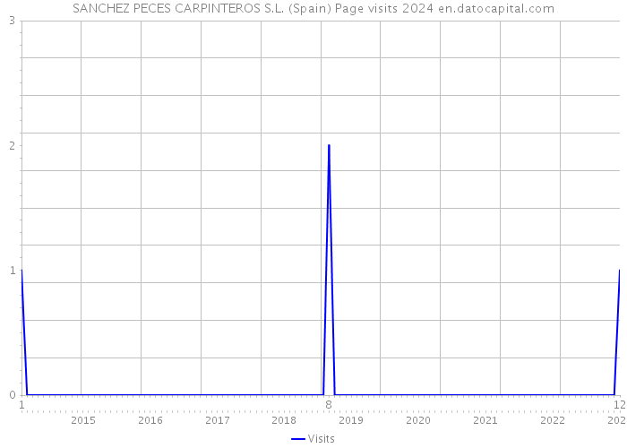 SANCHEZ PECES CARPINTEROS S.L. (Spain) Page visits 2024 