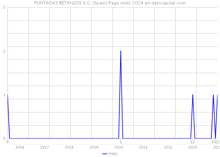 PUNTADAS BETANZOS S.C. (Spain) Page visits 2024 