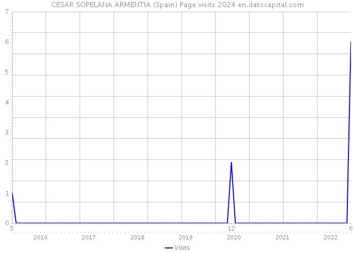 CESAR SOPELANA ARMENTIA (Spain) Page visits 2024 