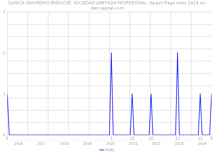 CLINICA SAN PEDRO ENDOCSP, SOCIEDAD LIMITADA PROFESIONAL. (Spain) Page visits 2024 