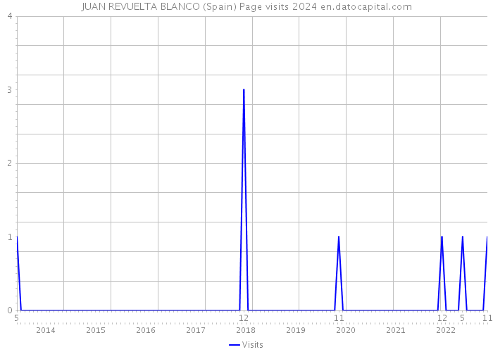 JUAN REVUELTA BLANCO (Spain) Page visits 2024 