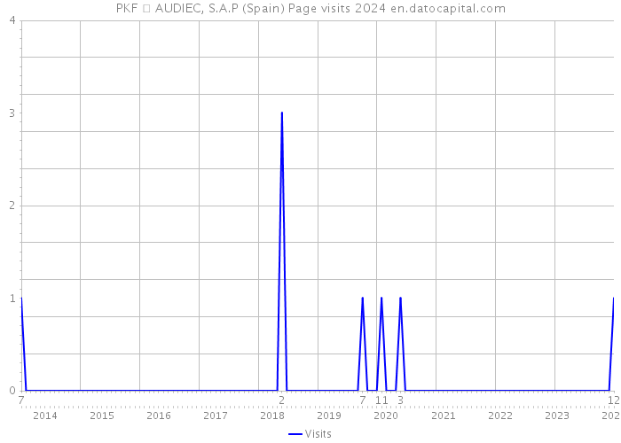PKF  AUDIEC, S.A.P (Spain) Page visits 2024 