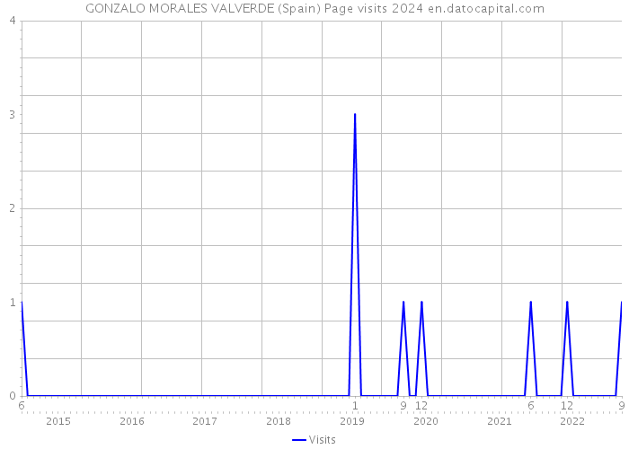 GONZALO MORALES VALVERDE (Spain) Page visits 2024 