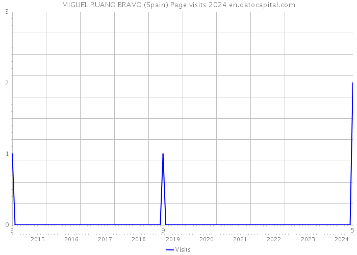 MIGUEL RUANO BRAVO (Spain) Page visits 2024 